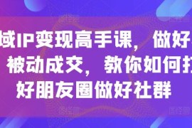 私域IP变现高手课，做好私域，被动成交，教你如何打造好朋友圈做好社群，06月24日冒泡网VIP项目