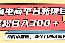 简单项目（12685期）电商平台新赛道变现项目小白轻松日入300＋0成本基础两个月即可翻身09-23中创网