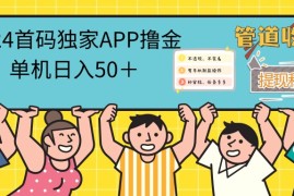 创业项目（12603期）2024首码零撸聚合APP，单机日入50＋，提现秒审核秒到账09-15中创网