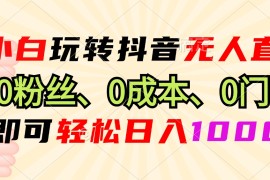 热门项目（13210期）小白玩转抖音无人直播，0粉丝、0成本、0门槛，轻松日入1000+11-04