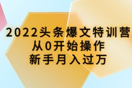 2022头条爆文特训营:从0开始操作,新手月入过万