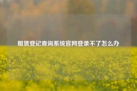 租赁登记查询系统官网登录不了怎么办