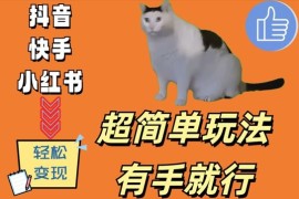 简单项目超简单玩法，有手就行，靠猫咪视频日入500+【揭秘】10-08冒泡网