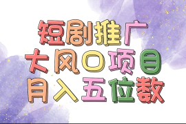 热门项目（11879期）拥有睡眠收益的短剧推广大风口项目，十分钟学会，多赛道选择，月入五位数便宜08月01日中创网VIP项目