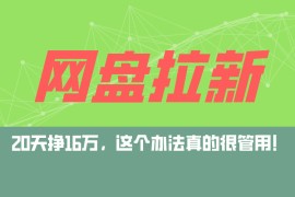 热门项目（12294期）网盘拉新+私域运营玩法，零基础入门，小白可操作，当天见效，日入5000+08-24中创网