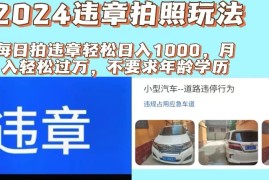 每日（11743期）2024违章拍照新玩法，推广躺赚+拍照赚钱双模式，日入1000+便宜07月22日中创网VIP项目