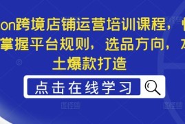 简单项目Ozon跨境店铺运营培训课程，快速掌握平台规则，选品方向，本土爆款打造08-27冒泡网