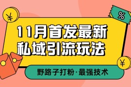 创业项目11月首发最新私域引流玩法，自动克隆爆款一键改写截流自热一体化日引300+精准粉11-15福缘网