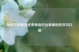 网贷记录查询免费查询平台有哪些软件可以用