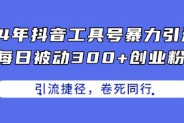 每天24年抖音工具号暴力引流，每日被动300+创业粉，创业粉捷径，卷死同行【揭秘】，07月03日冒泡网VIP项目