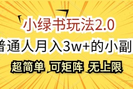 热门项目（12374期）小绿书玩法2.0，超简单，普通人月入3w+的小副业，可批量放大08-29中创网