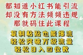 简单项目小红书靠复制粘贴一周突破万级流量池干货，以减肥为例，每天稳定引流变现四位数【揭秘】08-24冒泡网