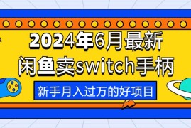 热门无货源项目，2024年6月最新闲鱼卖switch游戏手柄，新手月入过万的第一个好项目