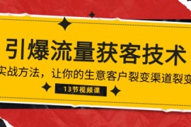 赚钱引流-涨粉-软件项目，《引爆流量 获客技术》实战方法，让你的生意客户裂变渠道裂变