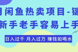 热门短视频运营项目，最新闲鱼热卖项目-键盘，新手老手容易上手，日入过千，月入过万，赚钱...