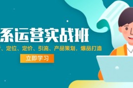 实战（12186期）淘系运营实战班：市场分析、定位、定价、引流、产品策划，爆品打造08-17中创网