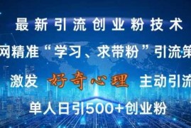 简单项目激发好奇心，全网精准‘学习、求带粉’引流技术，无封号风险，单人日引500+创业粉【揭秘】11-04冒泡网