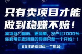 只有卖项目才能做到稳挣不赔，门槛低，更简单，你也可以年入百个W【揭秘】