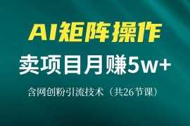 每天（13335期）网创IP打造课，借助AI卖项目月赚5万+，含引流技术（共26节课）11-14中创网