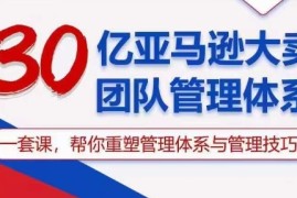 实战跨境电商项目，30亿 亚马逊 大卖团队管理体系，一套课，帮你重塑管理体系与管理技巧