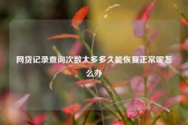 网贷记录查询次数太多多久能恢复正常呢怎么办