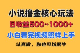 实战（11461期）小说撸金核心玩法，日收益500-1000+，小白看完照样上手，0成本有手就行便宜07月06日中创网VIP项目