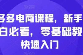 简单项目拼多多电商课程，新手纯小白必看，零基础教学快速入门11-11冒泡网