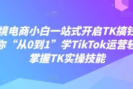 简单项目跨境电商小白一站式开启TK搞钱，教你“从0到1”学TikTok运营轻松掌握TK实操技能08-24冒泡网