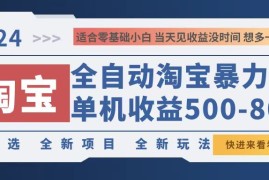 创业项目（12790期）2024淘宝暴力掘金，单机500-800，日提=无门槛09-29中创网