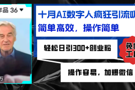 创业项目（12963期）AI数字人疯狂引流吸粉，简单高效，日引300+创业粉，操作容易，加爆微信10-14中创网