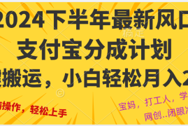 （12861期）2024年下半年最新风口，一键搬运，小白轻松月入2W+