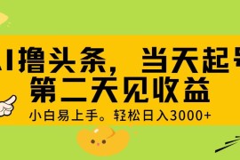 每日（11314期） AI撸头条，轻松日入3000+，当天起号，第二天见收益。，06月28日中创网VIP项目