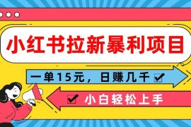 实战小红书拉新暴利项目，一单15元，日赚几千小白轻松上手08-13福缘网