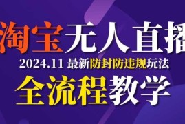 热门项目TB无人直播，11月最新防封攻略全流程教学，稳定月入2W+11-12冒泡网