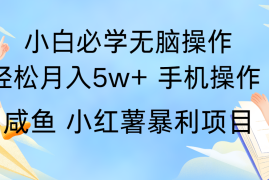 赚钱项目全网首发2024最暴利手机操作项目，简单无脑操作，每单利润最少500+便宜08月03日福缘网VIP项目