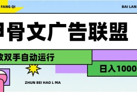 创业项目（11982期）甲骨文广告联盟解放双手日入1000+便宜08月04日中创网VIP项目