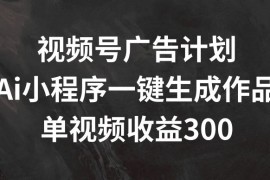 每天视频号广告计划，AI小程序一键生成作品，单视频收益300+【揭秘】便宜07月23日冒泡网VIP项目