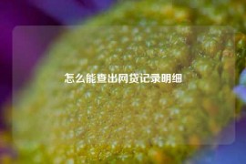 怎么能查出网贷记录明细