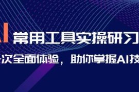 AI常用工具实操研习社，一次全面体验，助你掌握AI技术与抖音号运营