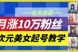 赚钱项目云天二次元美女起号教学，月涨10万粉丝，不判搬运08-30冒泡网