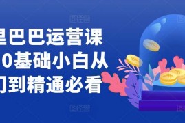 最新项目阿里巴巴运营课程，0基础小白从入门到精通必看11-11冒泡网