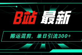 最新项目（12085期）B站最新，搬运混剪，单日引流300+创业粉便宜08月10日中创网VIP项目