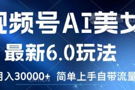 2024最新视频号AI美女最新6.0玩法，简单上手自带流量，月入3w【揭秘】便宜08月19日冒泡网VIP项目