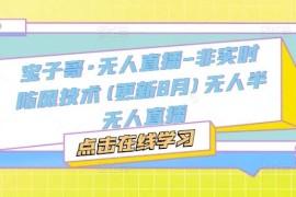 热门项目宝子哥·无人直播-非实时防风技术(更新8月)无人半无人直播08-26冒泡网