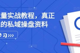 简单项目私域流量实战教程，真正可落地的私域操盘资料11-07冒泡网