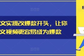 创业项目小说推文实操改爆款开头，让你的推文视频更容易成为爆款便宜08月19日冒泡网VIP项目