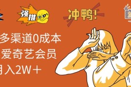 2024最新（12317期）2024多渠道0成本售卖爱奇艺会员月入2W＋08-25中创网