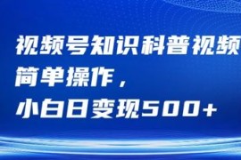 简单项目视频号知识科普视频，简单操作，小白日变现500+【揭秘】09-19冒泡网