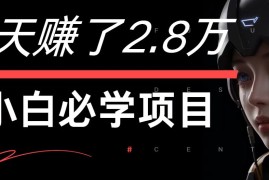 热门项目7天赚了2.8万！每单利润最少500+，轻松月入7万+小白有手就行08-30福缘网