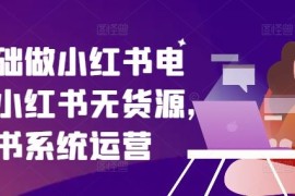 简单项目零基础做小红书电商，小红书无货源，小红书系统运营便宜08月03日冒泡网VIP项目